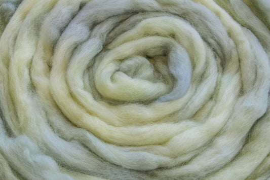 Corriedale Cross hand dyed roving, combed top - 4 oz