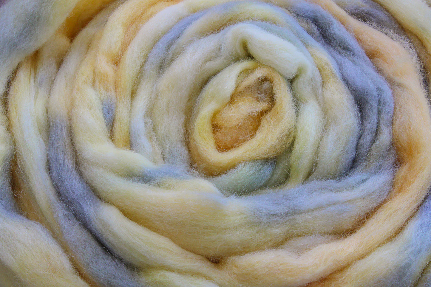 Corriedale Cross hand dyed roving, combed top - 4 oz