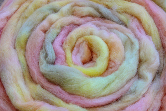 Corriedale Cross hand dyed roving, combed top - 4 oz