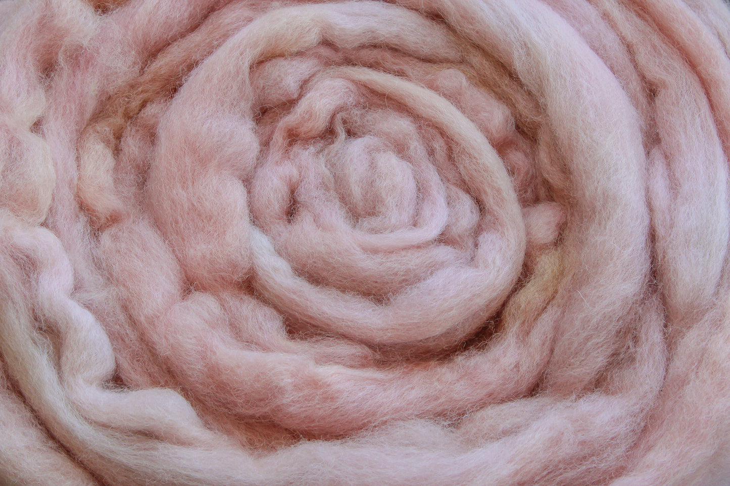 Corriedale Cross hand dyed roving, combed top - 4 oz