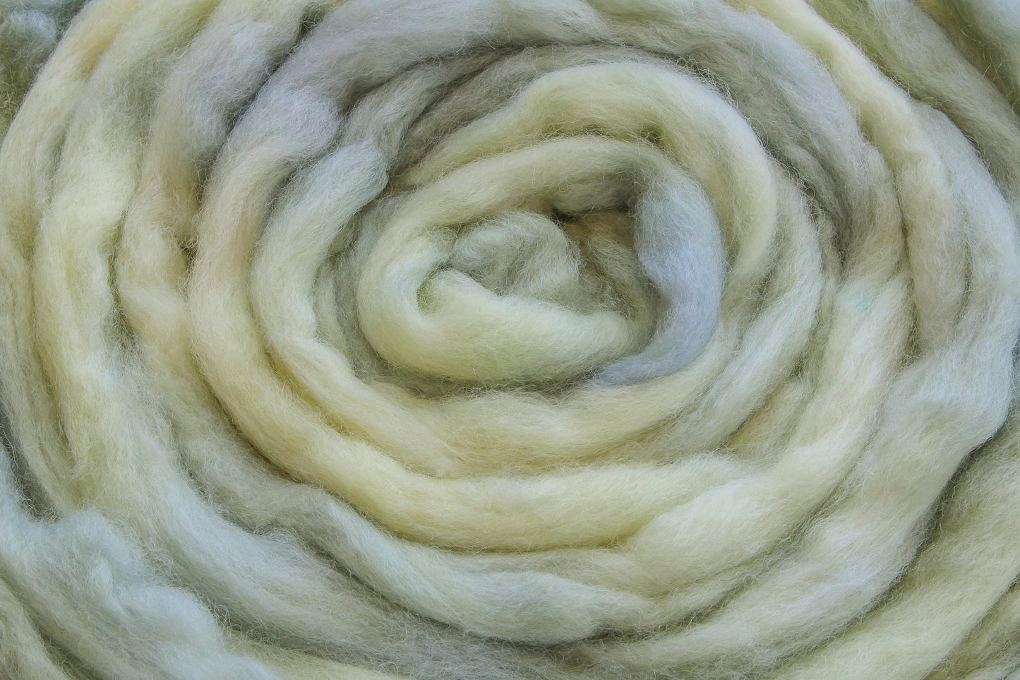 Corriedale Cross hand dyed roving, combed top - 4 oz